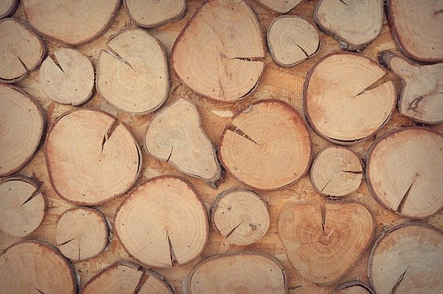 Správny náter na drevo predĺži životnosť dreva aj o desiatky rokov